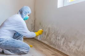 Best Post-Construction Mold Inspection  in Slidell, LA